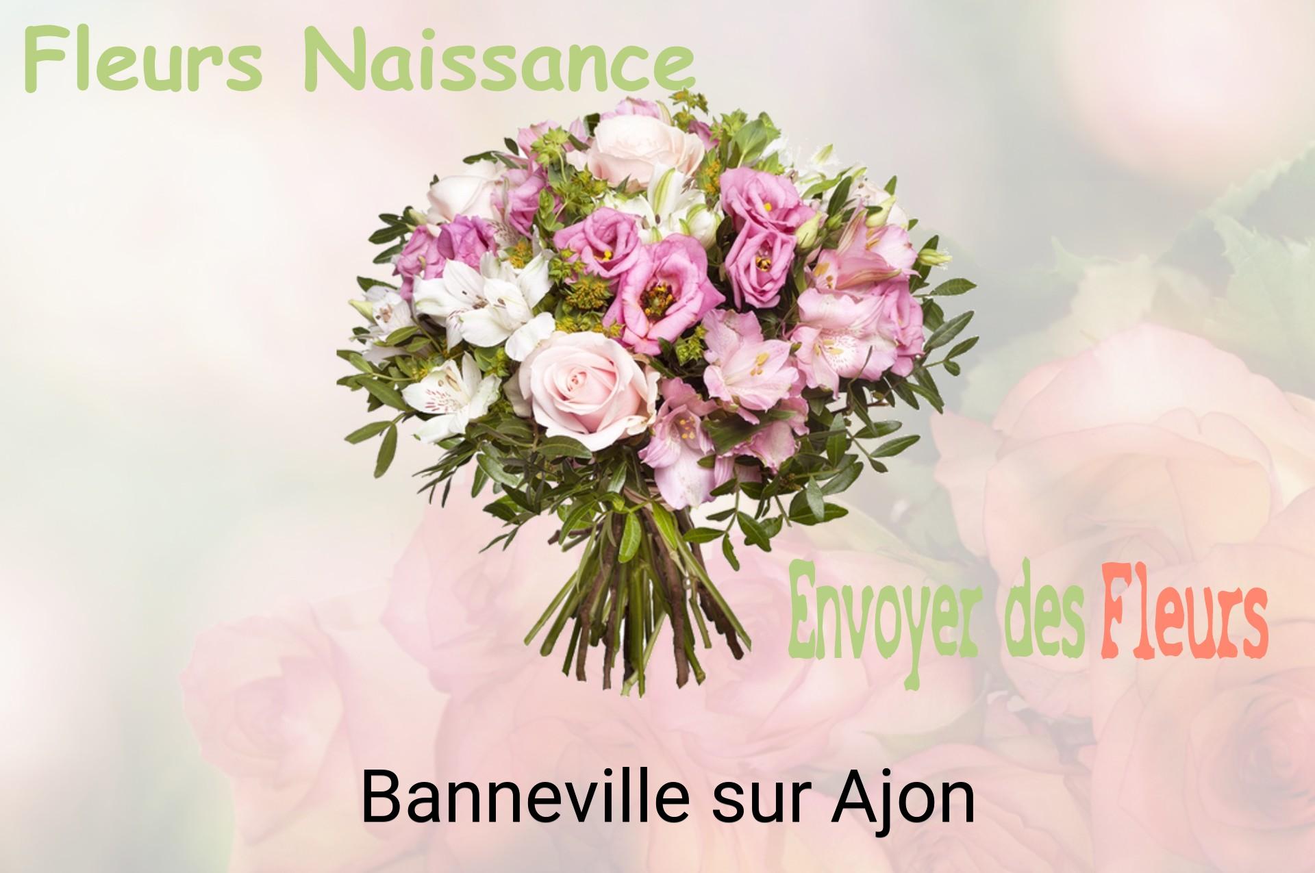 Bouquet de fleurs de naissance livré à Banneville-sur-Ajon